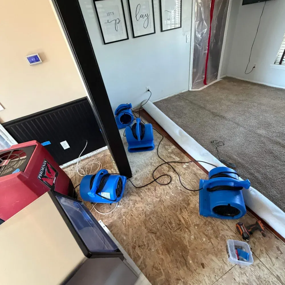 IICRC certified drying setup in Marion County, IN